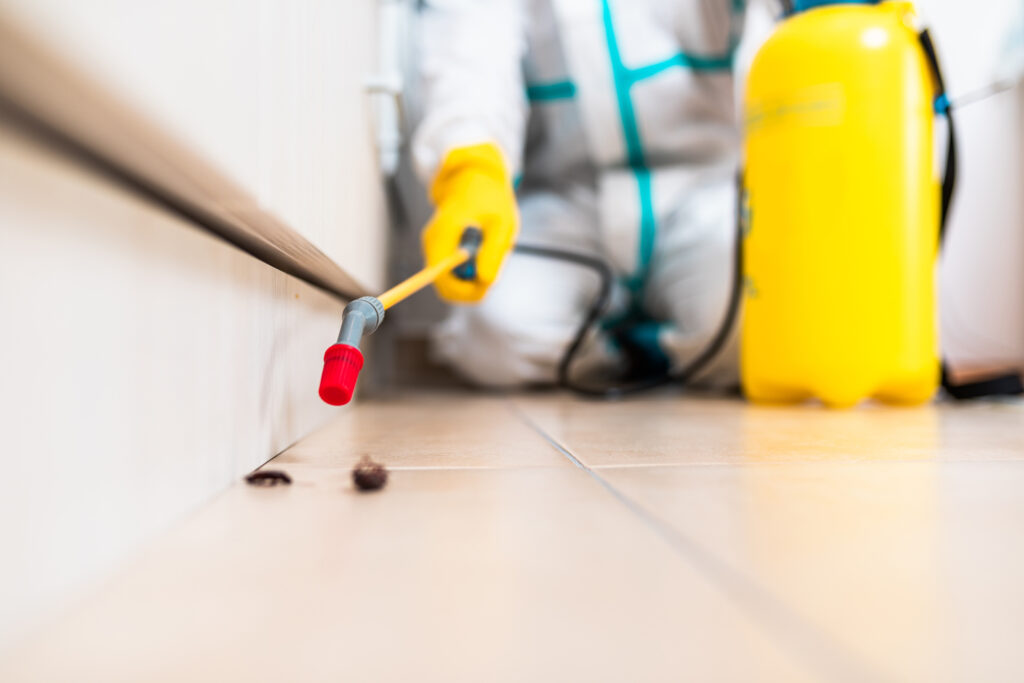 Canton Cockroach Experts