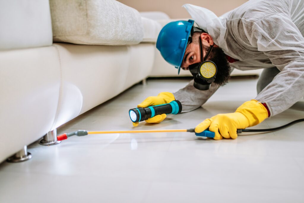 Canton Termite Control