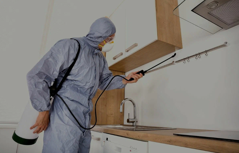 Canton pest managment