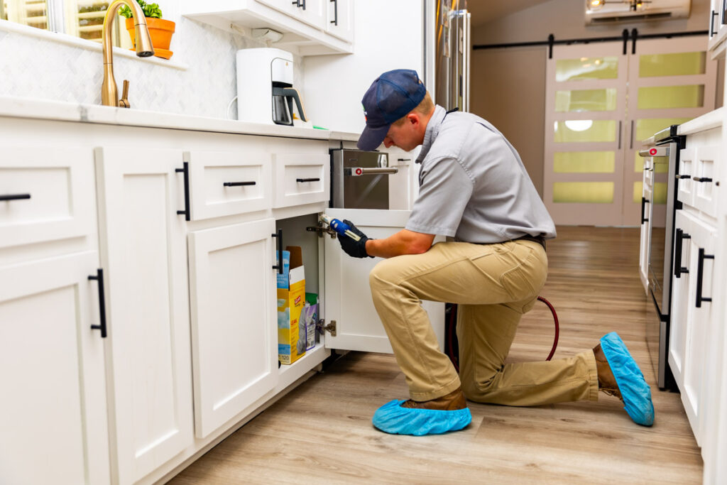 Canton xpert pest management